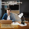 LALISU Study Desk Lamp with USB Charging and Type-C Night