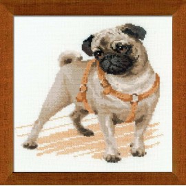 Riolis Kreuzstich Mops Set, Mehrfarbig, Pug Dog (14 Count), c1