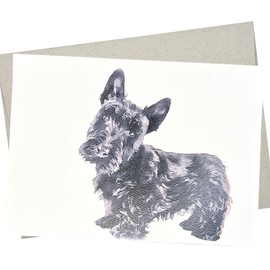 Scottish Terrier Card, Scottie Birthday Card (1 Premium Quality Folded Card, Blank Inside, 5X7 Inches) Dog Card also for Anniversary, Wedding, Get Well and Thank You - 441