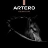Artero Saturno S3. horse brushes for grooming with 2.5 cm