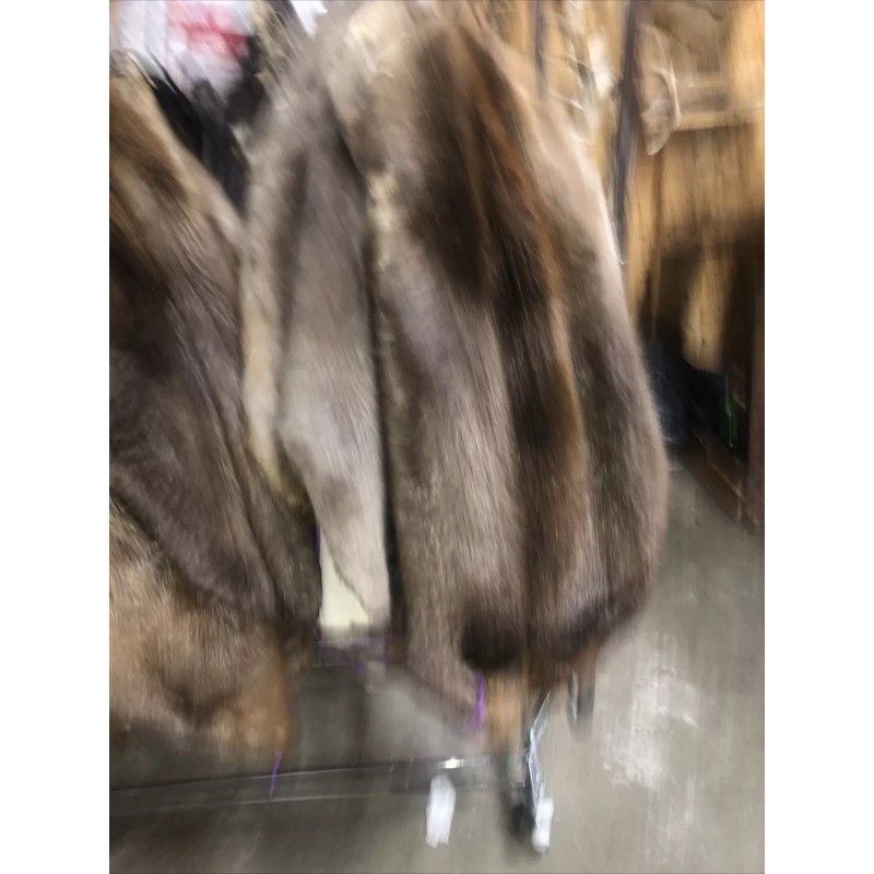 Beaver Hide Tanned Taxidermy