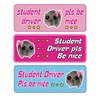 Student Driver Magnet Sticker for Cars - Funny Reflective Hamster