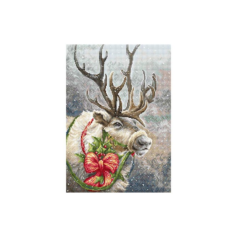 Lucas Cross Stitch Set, Cotton, Multicoloured, 19x19cm