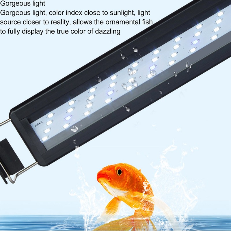 Aquarium Light Professional High Brightness Blue White Lighting Fish Tank