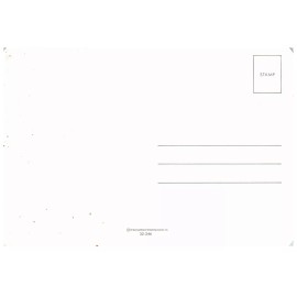 Drawing Board Anthropomorphi