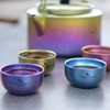 Boundless Voyage Titanium Sake Cup Guinomi Double Layer Camping Hot