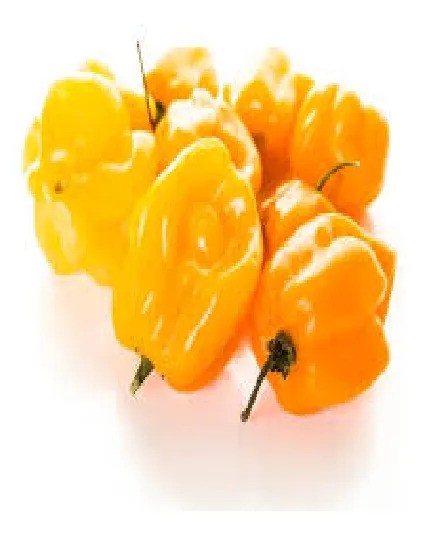 25 Semillas De Chile Habanero Amarillo Cultivo Huerto