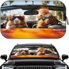 Windshield Sun Shade - Car Sun Shade Windshield, Reflector Sunshade