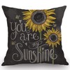 Swono You are My Sunshine Quote Throw Pillow Case Cushion