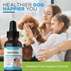Twin Pack Natural Dewormer For Dogs & Cats | Intestinal