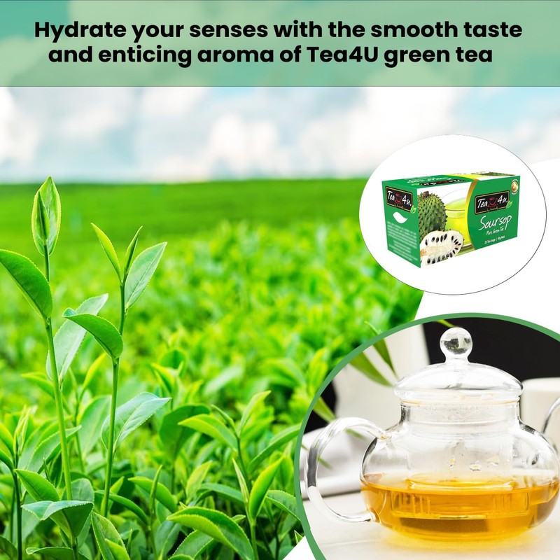 Tea4U Soursop Green Tea - Smooth Blend of Soursop Flavor