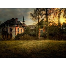 CALVENDO Puzzle Heilstätten Beelitz, Germany 1000 Pieces Laying Size 64 x 48 cm Photo Puzzle Image by Eleonore Swierczyna