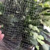 Longlasting Plant Root Protection, Gopher and Vole Wire Basket Vole