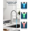 FORIOUS LED Kitchen Faucet with Soap Dispenser, Brushed Nickel Stainless