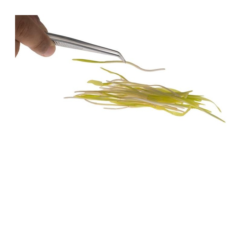 J.B. Prince U924 A S/S Fine Tip 6.25" Straight Tweezer