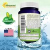 aSquared Nutrition Quercetin 500mg Supplement - 60 Capsules - Quercitin