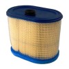 Green Dade Outdoor AIR FILTER FOR BRIGGS AND STRATTON 202312