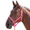Shires Topaz Nylon Pony/Horse Headcollar - Purple Small Pony