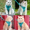 TYXHXTF Cat Harness with Lead, Escape Proof Set, Cats Automatic