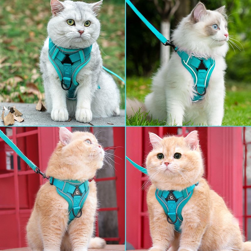 TYXHXTF Cat Harness with Lead, Escape Proof Set, Cats Automatic