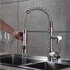 LOPOO Kitchen Faucet with Pull Down Sprayer, Brushed Nickel Finish,