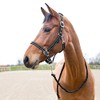 HORZE – Supreme Cooper Halter y Lead Set, Negro