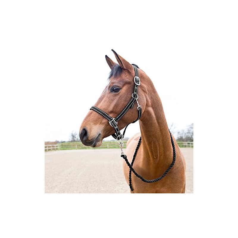 HORZE – Supreme Cooper Halter y Lead Set, Negro