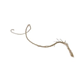 READY TO PETS Natural Sisal Ball