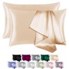 BEIJOEY 100% Mulberry Silk Pillowcase 2 Pack for Hair and