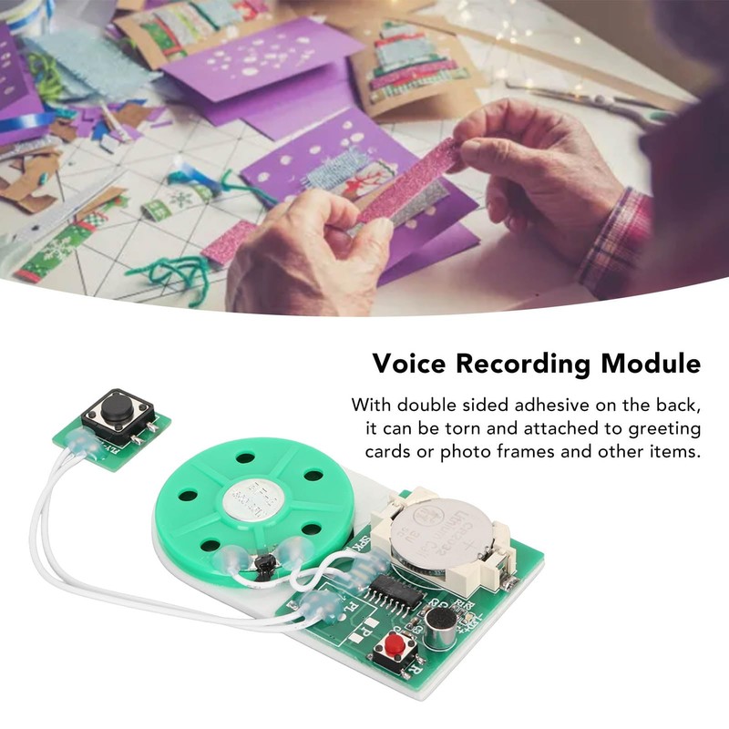 Writeable Sound Chip, Sound Voice Recording Playback Module with Double-Sided