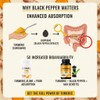 Turmeric Ginger and Black Pepper Tablets 2600mg - 180 Tablets