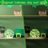 2 Pcs St Patrick's Day Decorations Lighted Glass Ball Tabletop