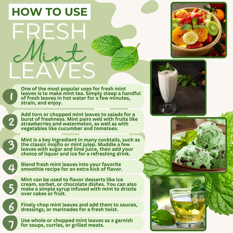 Rani Fresh Mint (Pudina) Leaves 2oz - 4oz,Pack of 2
