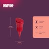 Innovine Silicone Bottle Stoppers, Reusable Wine and Beverage Seals, Leak
