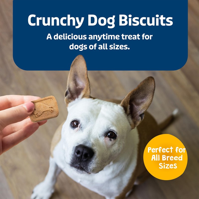 Blue Buffalo Health Bars Crunchy Dog Biscuits, Oven-baked Dog Treats