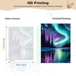 MEIYUDA Paint by Numbers Adults with Frame Northern Lights, DIY Set Hand Painted Oil Painting Kit for Beginners and Adults with 3 Brushes and Acrylic Paint, Gifts and Home Decoration 30 x 40 cm