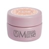 PREGEL Muse PGU-P128 Color Gel Star Sand and Sunset, 0.1