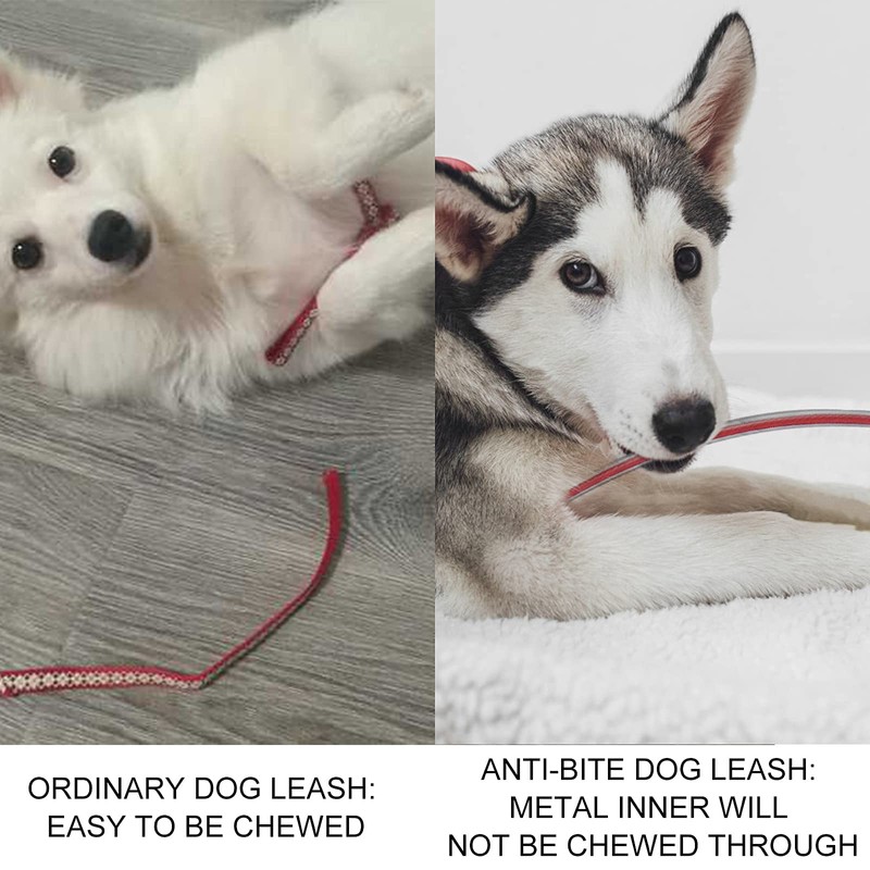 voopet Chew-Proof Dog Leash Extension Works with Any Leash &