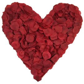 LZXD 1000 Pieces Burgundy Artificial Silk Rose Petals Flower Decoration Wedding Party Color Burgundy
