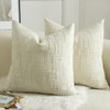 MANDIOO Pack of 2 Soft Chenille Textured Throw Pillow Covers