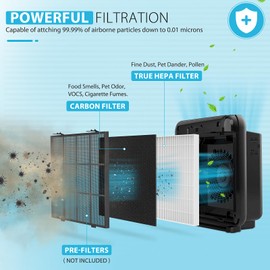 Colorfullife AP-1512HH True HEPA Replacement Filter H13 Compatible with Coway Airmega AP-1512HH Air Purifier and Airmega 200M Air Purifier, Item NO #3304899 (2 HEPA + 8 Carbon Filters)