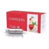 ICO Cargador De Sifones Para Crema Batida (40 Cargas)