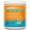 AminoLean Hydrating Electrolyte Powder and Recovery Drink with Sea Minerals,