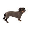 Dachshund Dog Turtleneck Sweater, Suitable for Dachshunds, Winter Clothes (M)