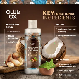 Mushroom Coffee Creamer with MCT Oil by Owl & Ox | L Theanine, Nootropic Superfood Blend, Vegan, Sugar Free, Dairy Free, Adaptogens, Plant Based & Keto Friendly, Hazelnut Chocolate Flavor, 30 Servings
