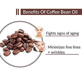 SALVIA Coffee Bean Oil (Coffea Arabica) 100% Natural Pure Undiluted Carrier Oil 100ml