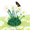 Lovepop Daisy Patch Pop Up Card, 5x7 - 3D Greeting