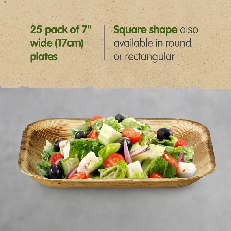 Signature Packaging - Disposable Palm Leaf Plates - Sturdy, Medium
