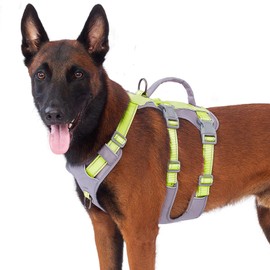 Huntboo Safety Harness Dog Escape Proof, Panic Harness for Dogs, Reflective Dog Harness with Handle, Adjustable Dog Harness for Small, Medium and Large Dogs (Light Green, L)