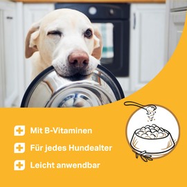 MEDIDOG Multi Vitamin B Komplex Tabletten – ca. 260 Tabletten – hochdosiert, mit Vitamin B1, B2, B3, B6, B12, Vitamin A, Vitamin E, mit Casein, Bierhefe und Kurkuma